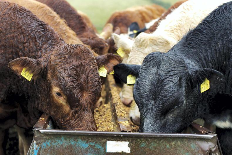 The likely actions in the beef welfare scheme