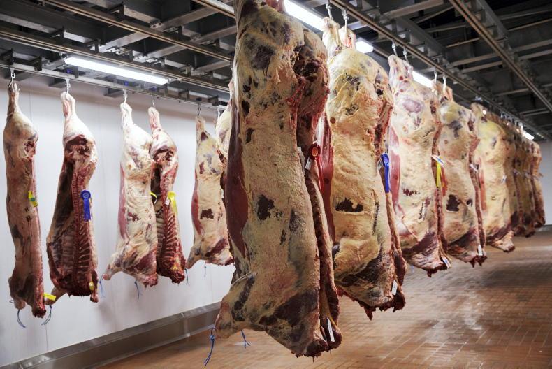 Beef trade shows signs of steadying