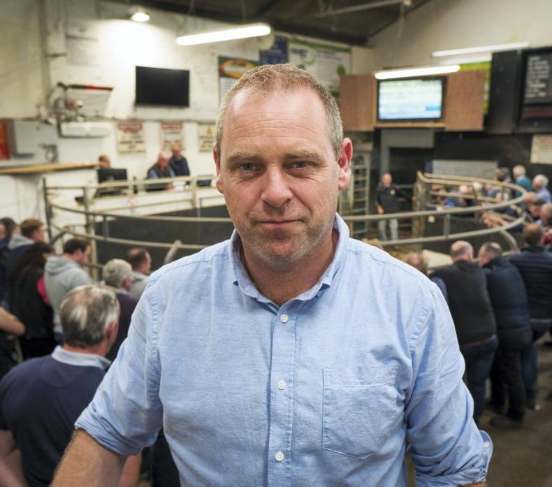 Weanlings cross €7/kg in Elphin Mart