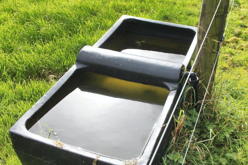 Vet's Corner: the forgotten nutrient costing Irish farmers performance