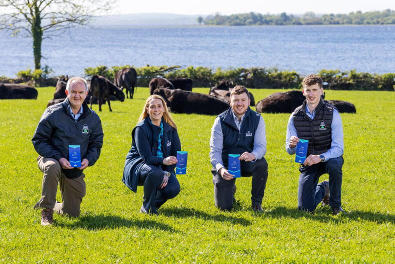 New sustainability-linked loans for beef farmers        