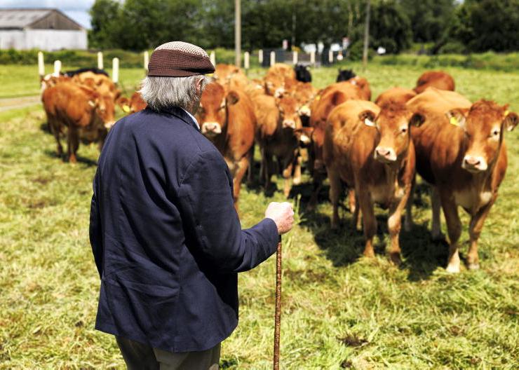 Critical CAP for pensioners and part-time farmers
