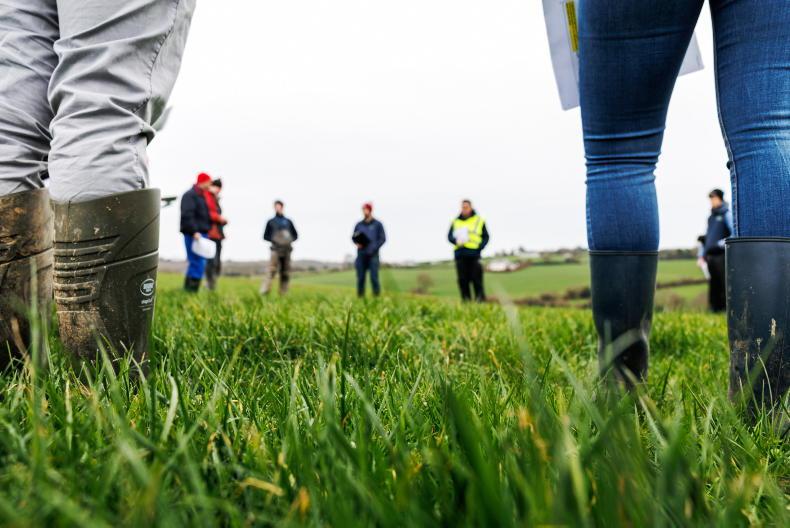 Dairy management: grass tight on many farms