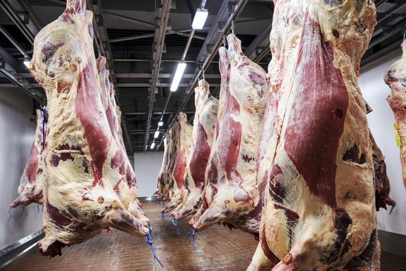 Beef trade bottoms out with quotes stable again this week