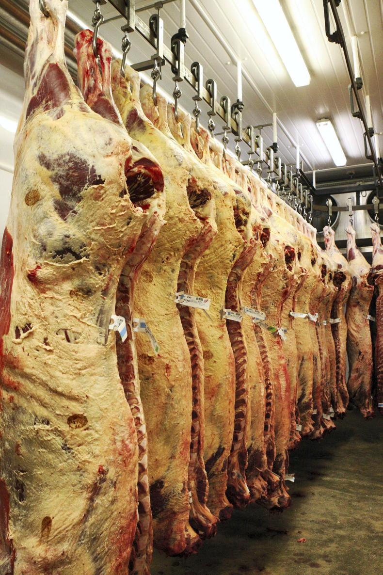 Convergence in global beef prices   