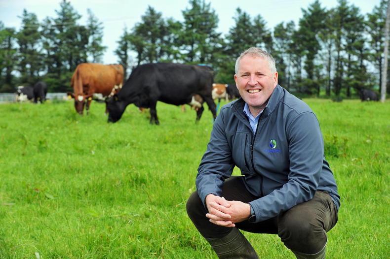 Almost one-fifth of Carbery suppliers' land dedicated to nature