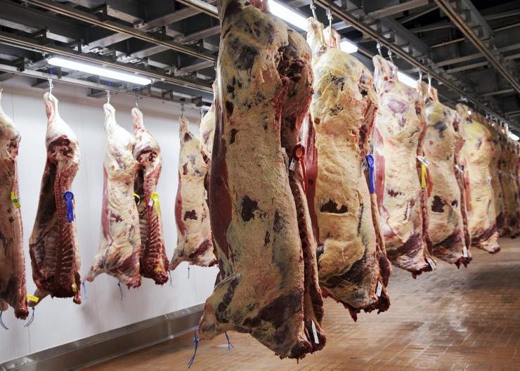 Tighter supplies drive up beef quotes 