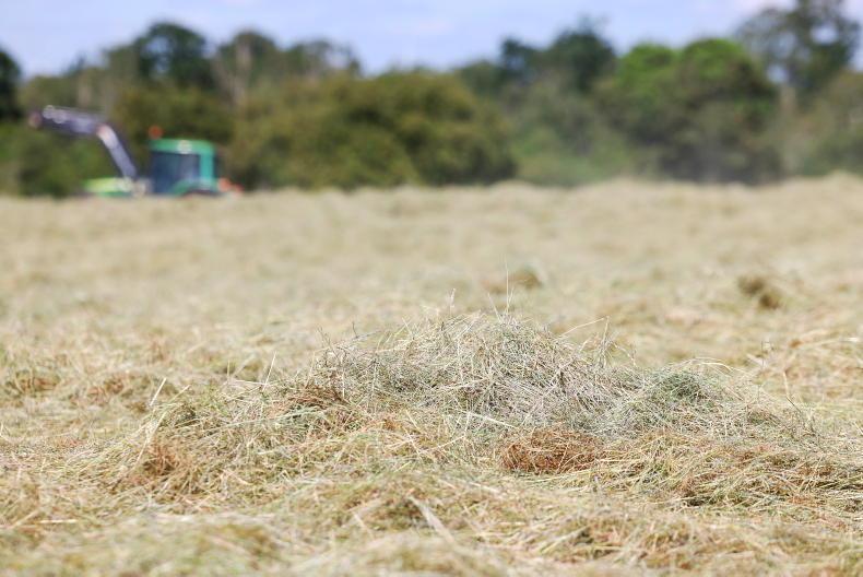Bumper hay crop is on the cards 