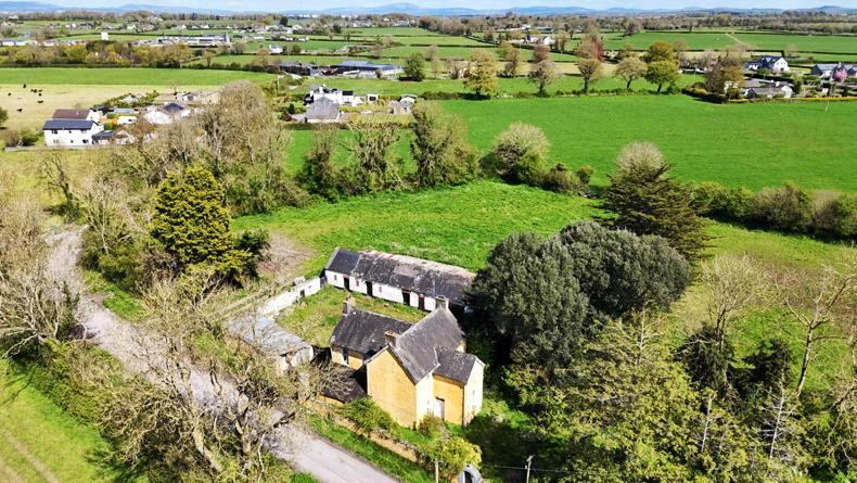 Limerick farm exceeds guide by more than 40% at auction
