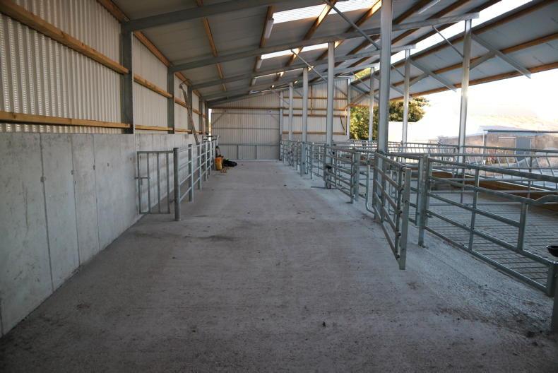 Planning permissions for new farm sheds remain high