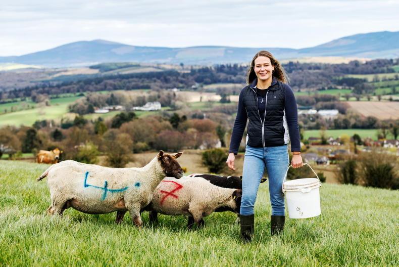 Young Stock Podcast: Wicklow woman on farming, sales and succession