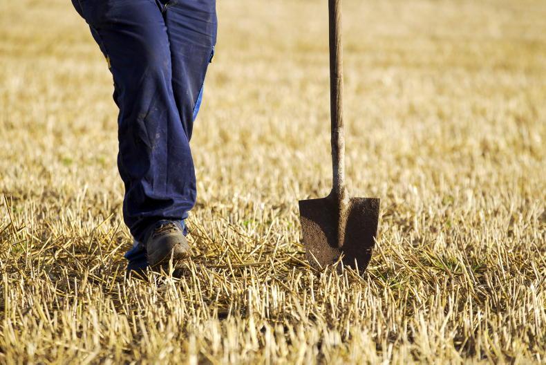 Study shows exceptionally strong public support for farmers in Ireland