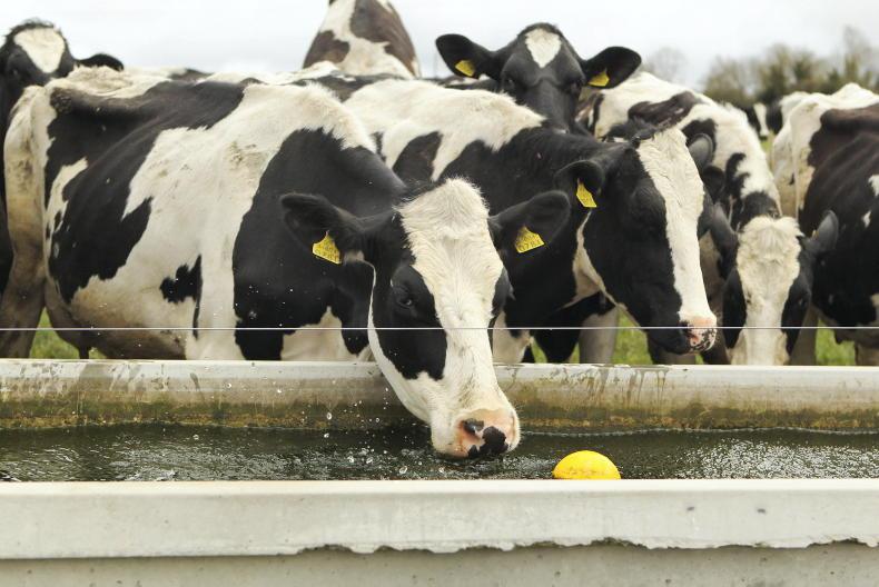 Uisce Éireann delays water shut-off after farmers raise heatwave fears