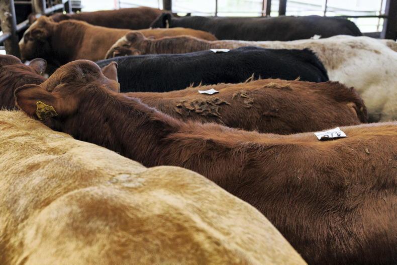 Mart managers: premiums available for the right type of weanling