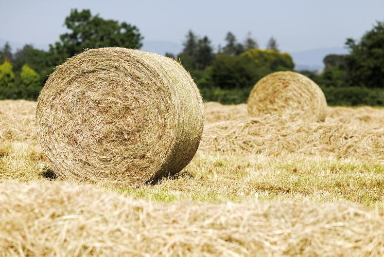 Share your views: what are hay and straw costing in your area