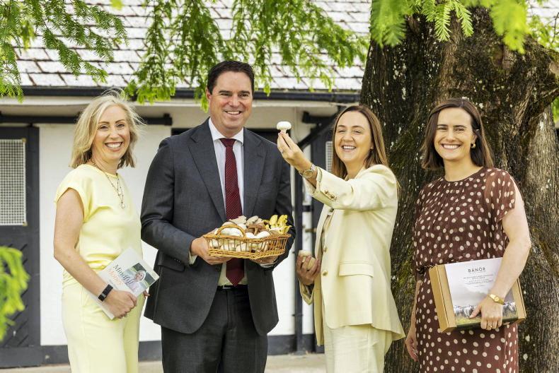 Applications open for programme supporting rural female entrepreneurs