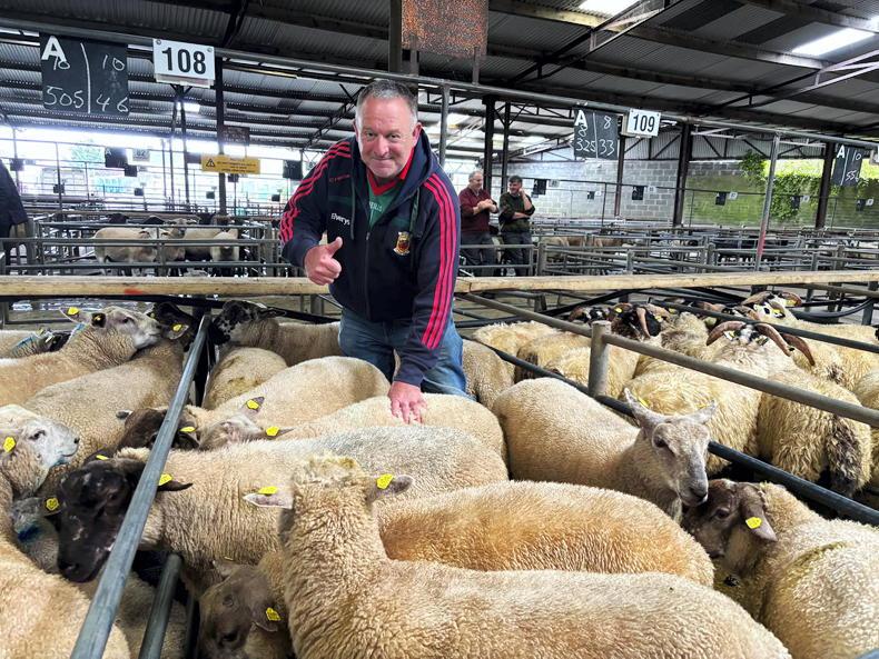 Viral Mayo fan returns to the farm after unforgettable win