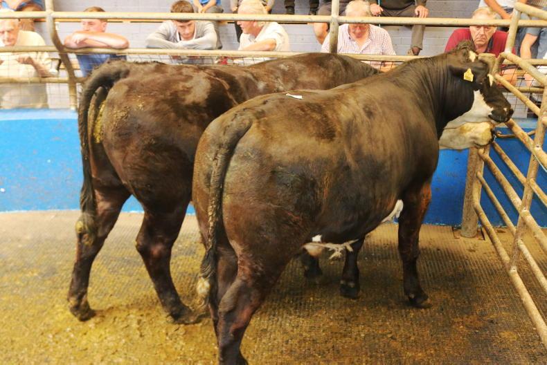 Martbids Database: trade remains tough amid several challenges
