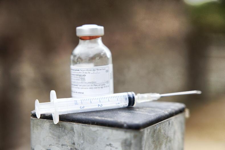 Department told to destroy unauthorised veterinary medicines worth €100,000