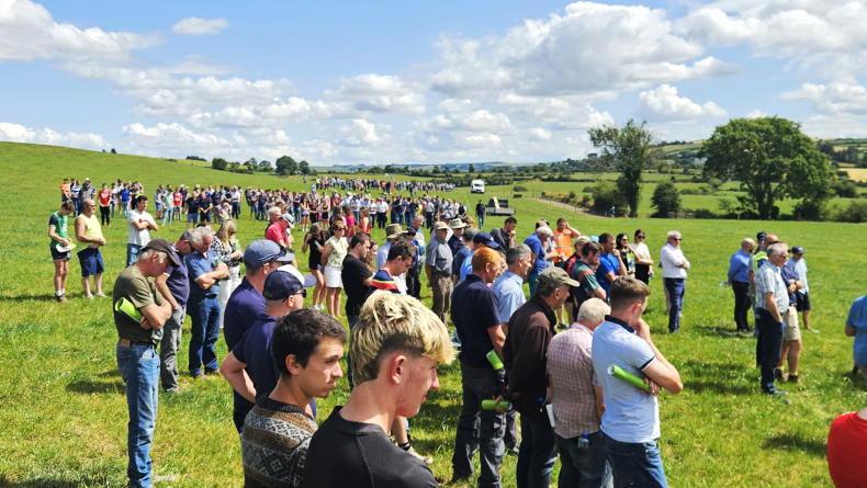 Farmers 'better off doing rain dance' than burning diesel in current weather
