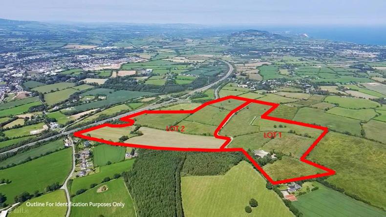 Lively auction day beckons for Wexford farm