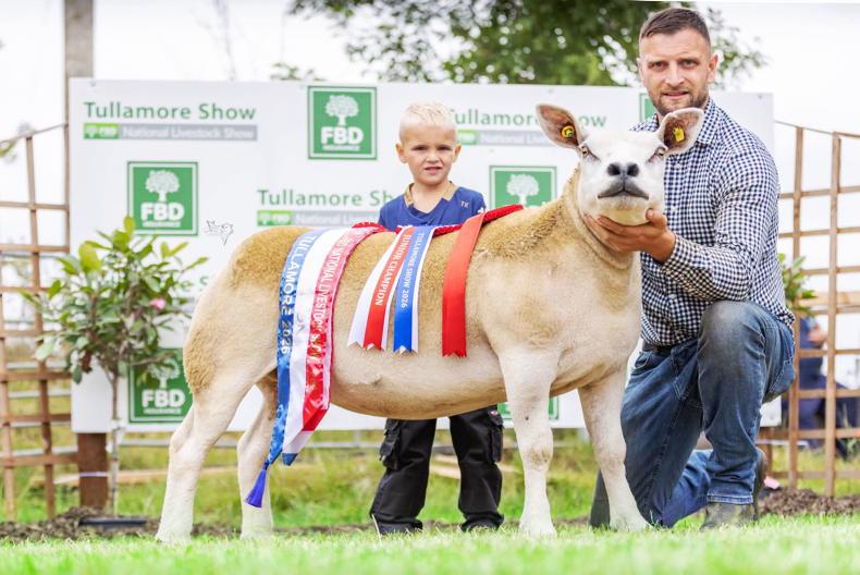 Strong entries and superb-quality sheep on display at Tullamore Show