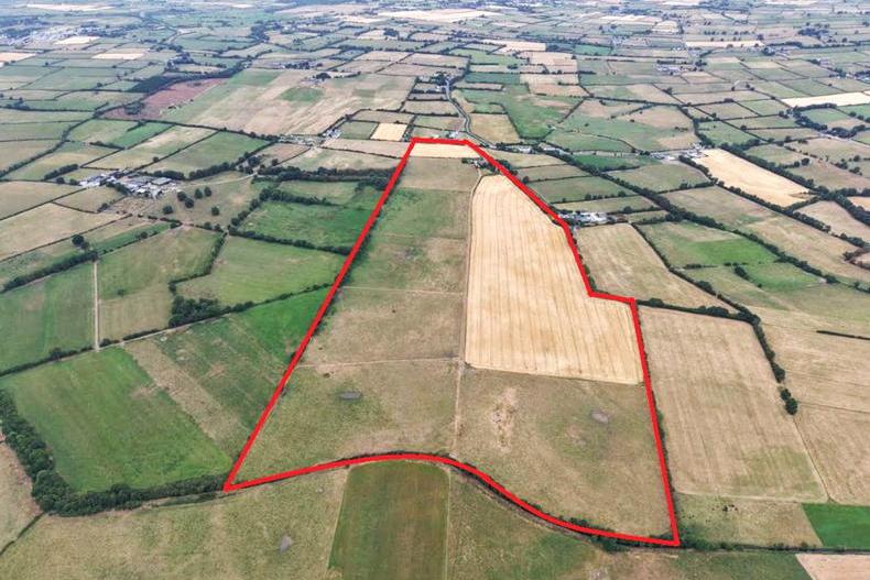 100ac Kilkenny farm expected to draw wide interest