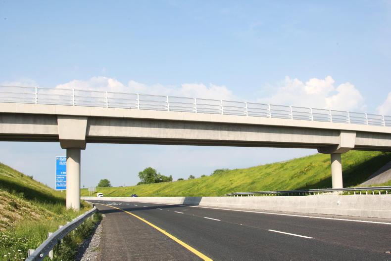Motorway reopens after loose cow brings traffic to standstill 