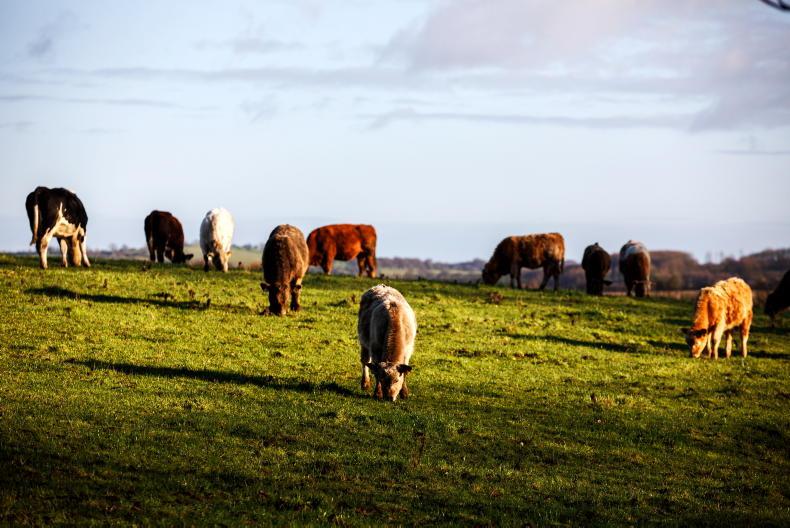 Nine in 10 believe Irish farmers deserve more recognition