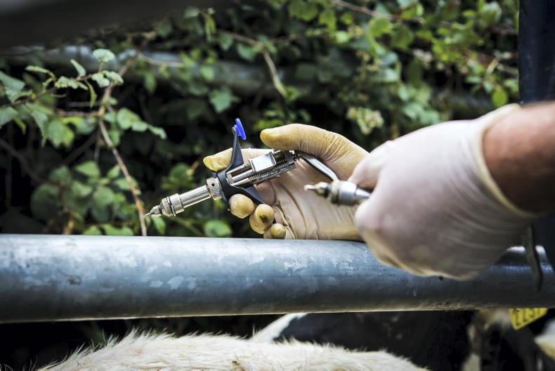 60 suspensions handed down to vets over TB testing since 2022