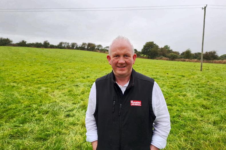Renewed vaccination calls as shippers dominate weanling sales 