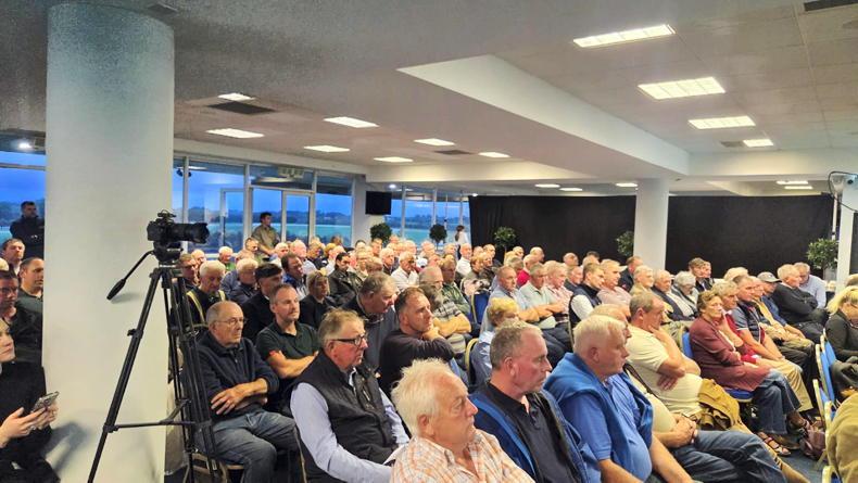 'Money for nothing' - Gorman says proposed CAP leaves farming in dire straits