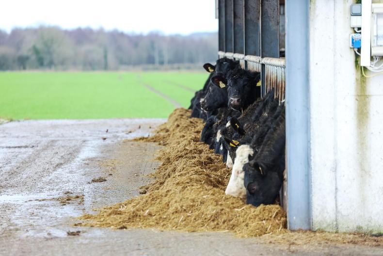 With farming 'financially creaking', €11/t in fertiliser scheme is an 'insult'